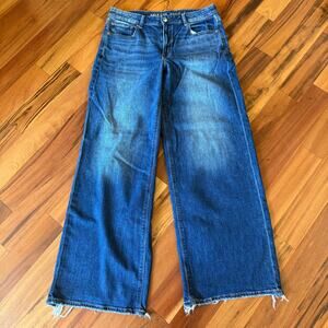 American Eagle (AE), 8 Regular Low Rise Baggy Wide Leg Stretch See Measurements